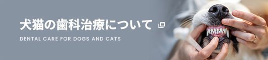 福岡オリーブどうぶつ病院公式LINEはこちら！
