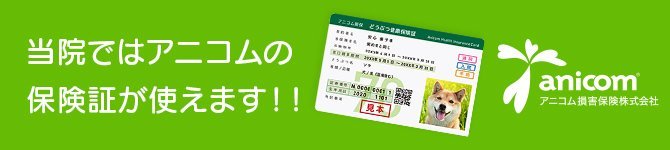 当院ではアニコムの保険証が使えます！！