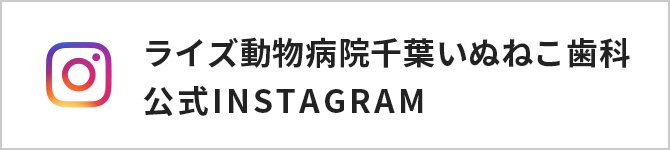 ライズ動物病院千葉いぬねこ歯科 公式INSTAGRAM