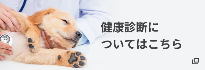 健康診断についてはこちら