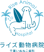 ライズ動物病院千葉いぬねこ歯科