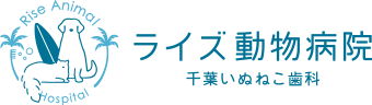 ライズ動物病院千葉いぬねこ歯科