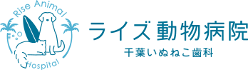 ライズ動物病院千葉いぬねこ歯科